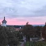 Zamecka *