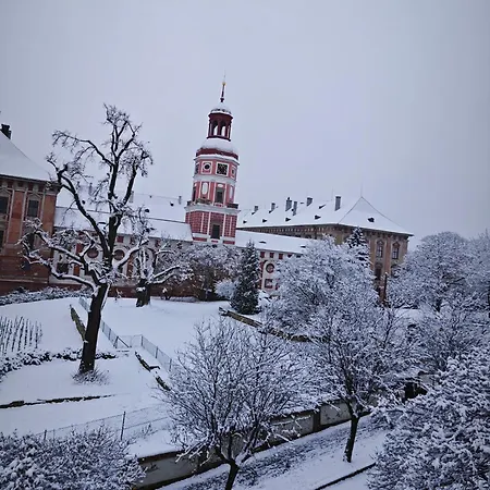 Zamecka *