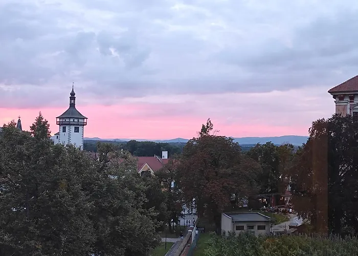 Zamecka *
